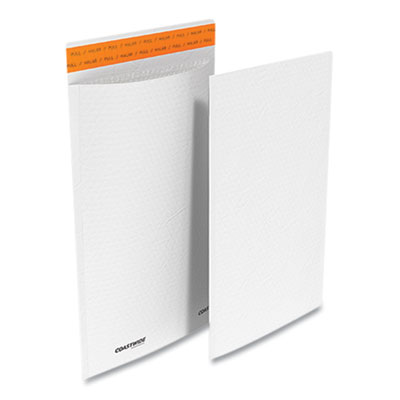 MAILER,SLF,9.13X13.25,100