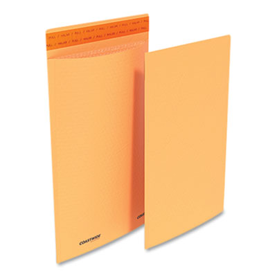MAILER,SLF,13.25X9.13,100