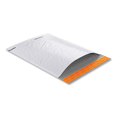 MAILER,SLFSL,9.25X11,100