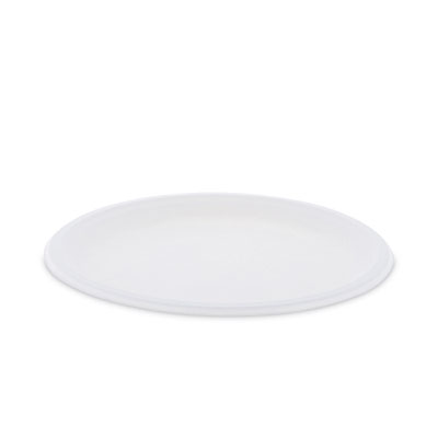 PLATE,EARTHCHOICE 10",NT