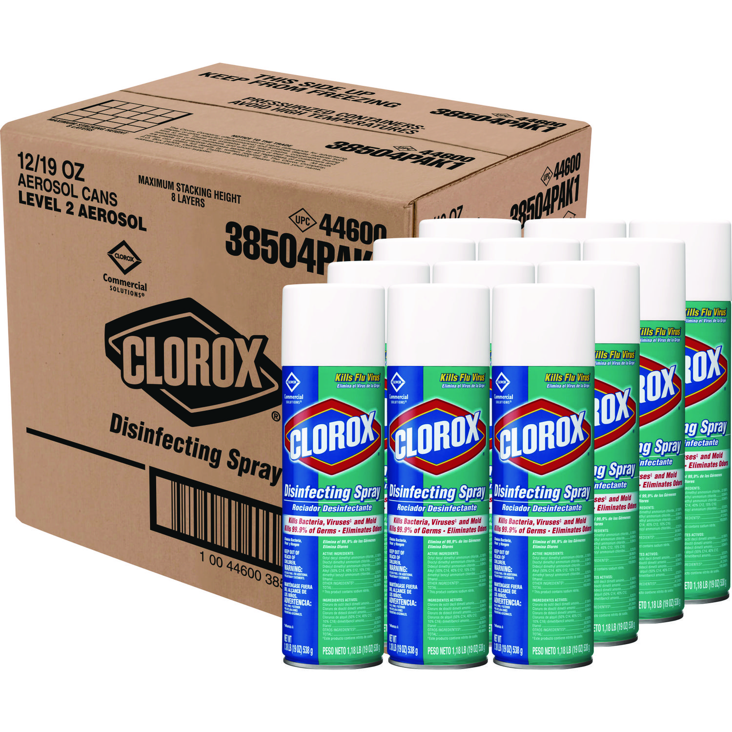 CLEANER,DSNFCTNTSPRY,19OZ