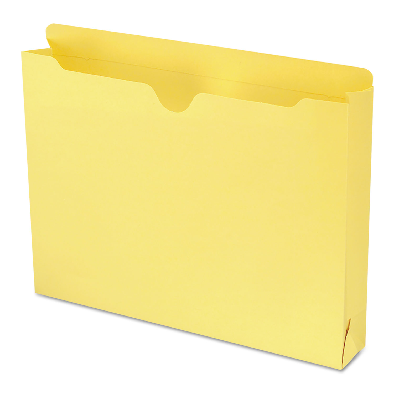 JACKET,FILE,LTR,2" EXP,YW