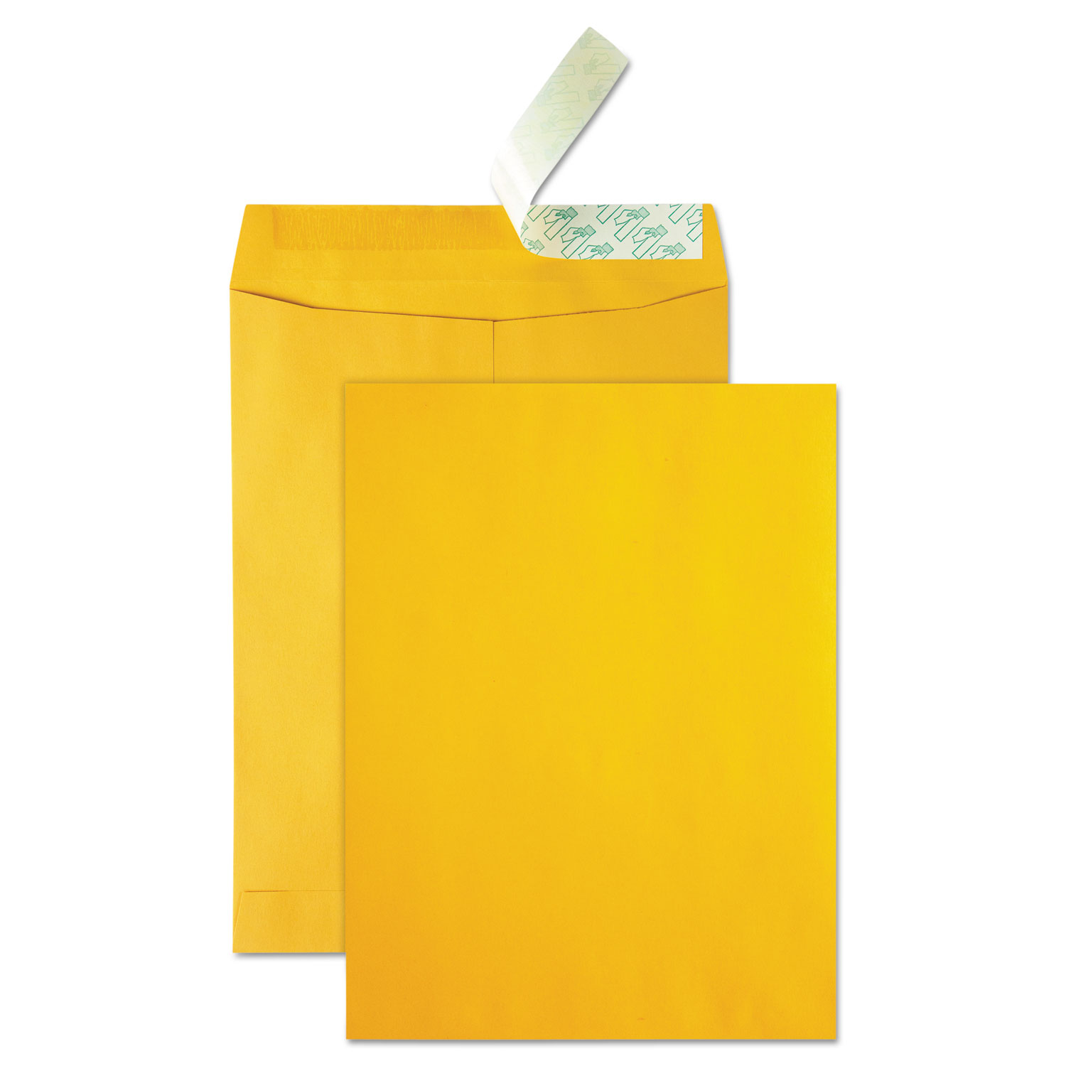 ENVELOPE,CATALOG,10X13,BR