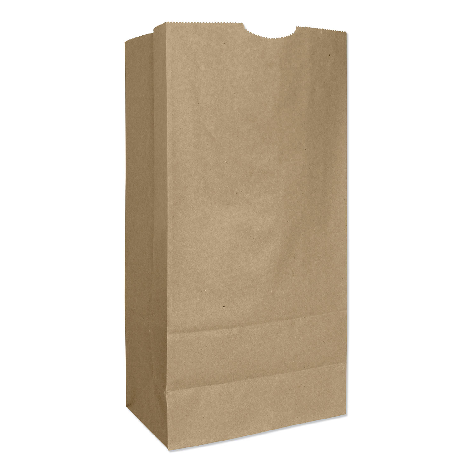BAG,XTRA HVY,16#,NT