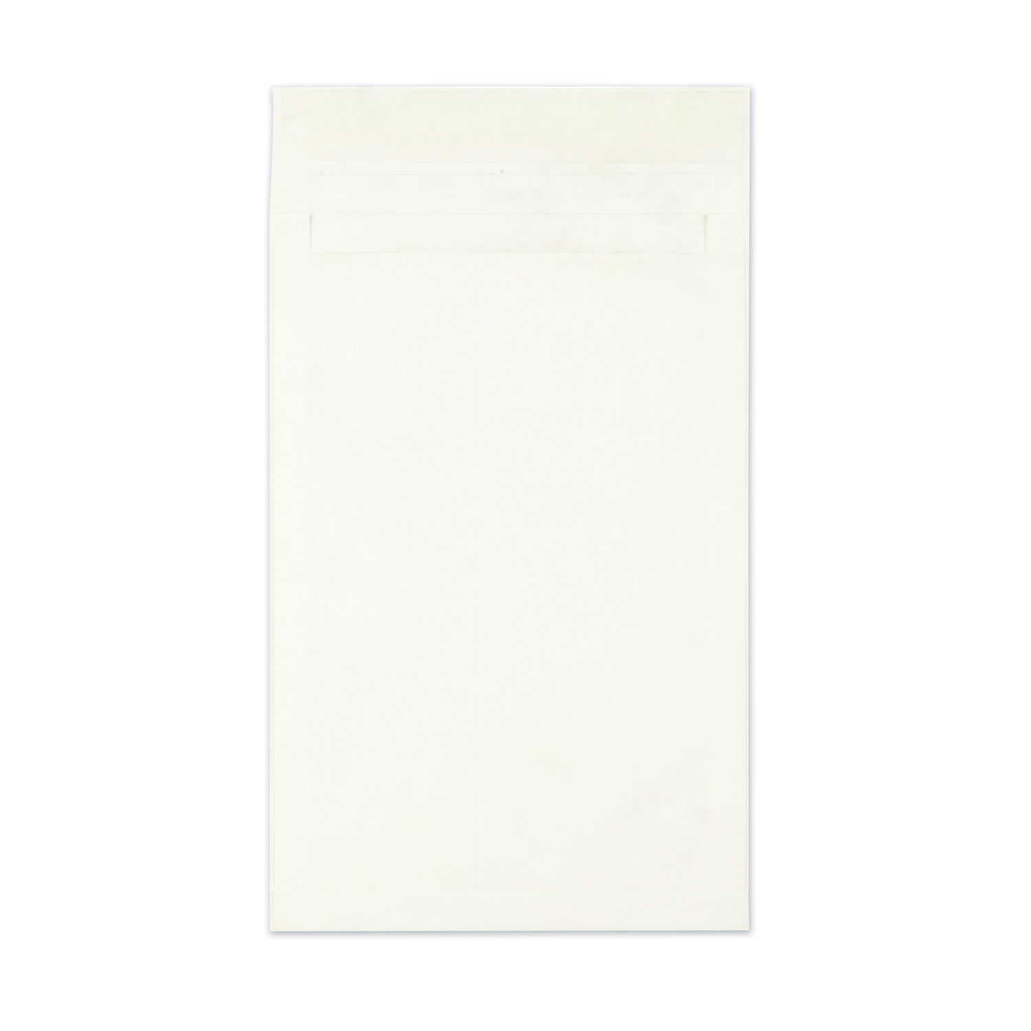 ENVELOPE,TYVEK,12X16,WE