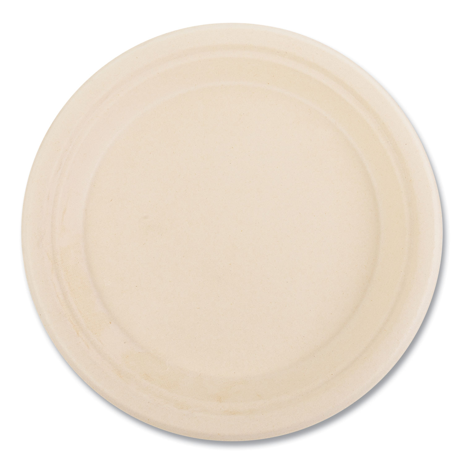 PLATE,9" HVY WT,500/CT,TN