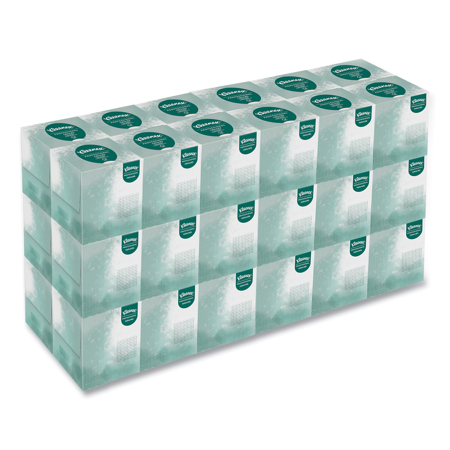 TISSUE,FACIAL,36BX/95,WHT